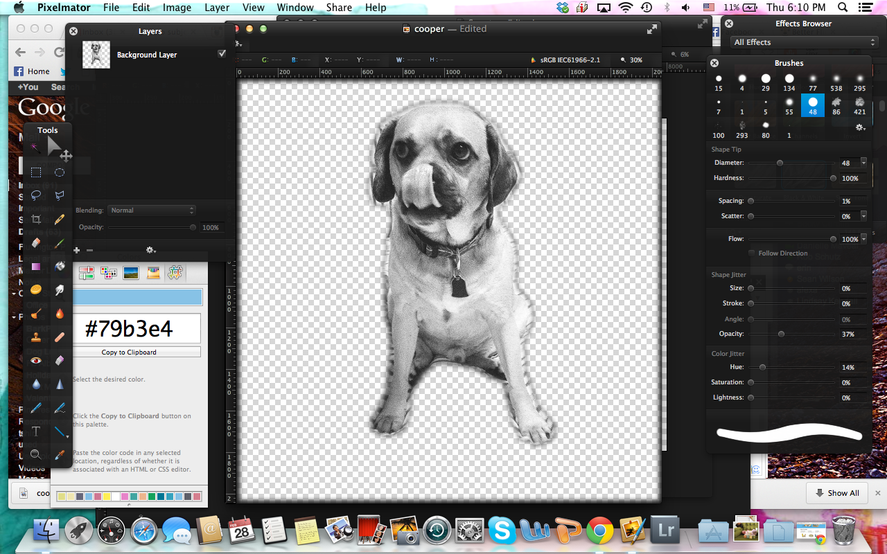 How to Make a Pillow that Looks Like Your Dog The BarkPost