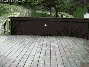 tennis balls gif