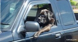 They see me rollin. They hatin'