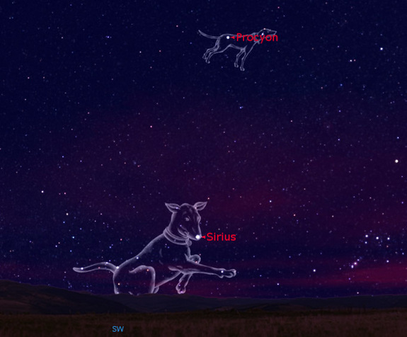 Constellation Dog Names Constellation Dog Names