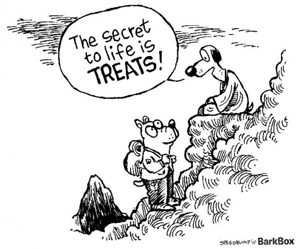 treats