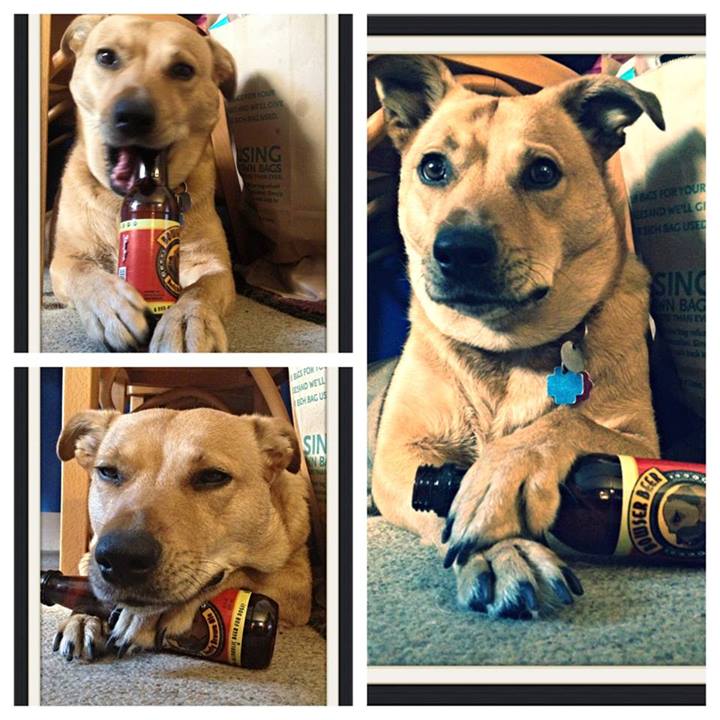 She Says I Drink Too Much Pup She Says I Drink Too Much Pup