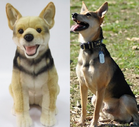 stuffed animal copy of your dog