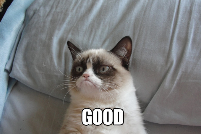 grumpy-cat-good